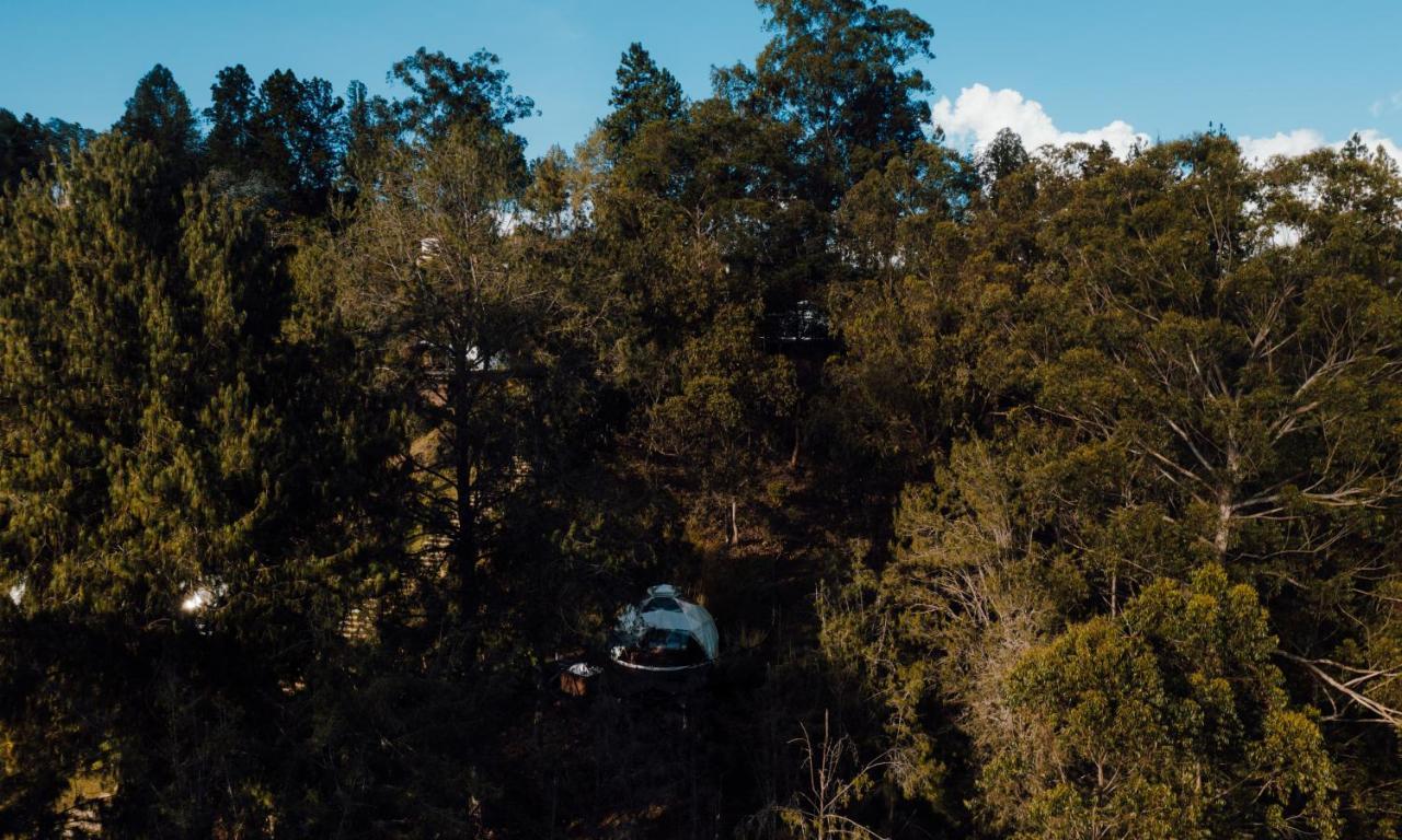 Domus Glamping Guatape Hotel Buitenkant foto